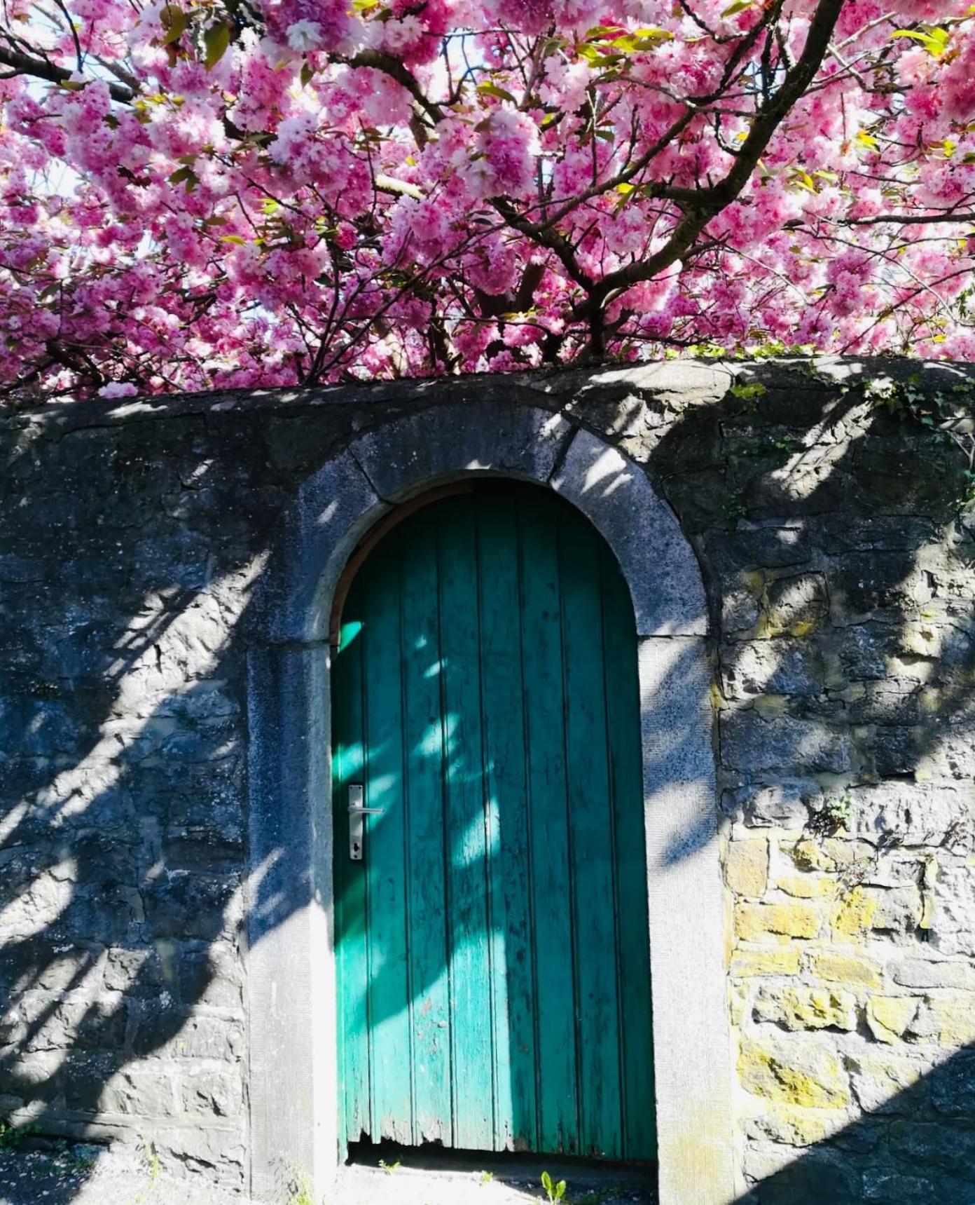 B&B La Ruelle Профондвіль Екстер'єр фото